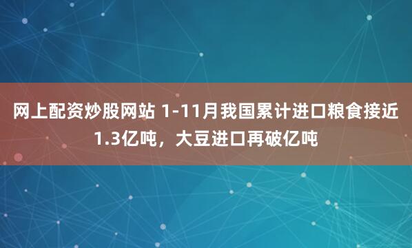 网上配资炒股网站 1-11月我国累计进口粮食接近1.3亿吨，大豆进口再破亿吨