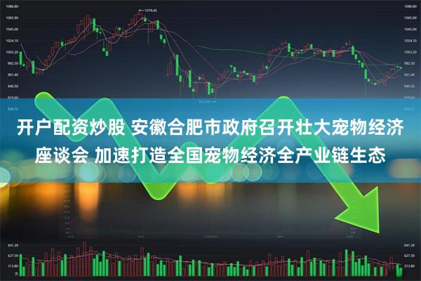 开户配资炒股 安徽合肥市政府召开壮大宠物经济座谈会 加速打造全国宠物经济全产业链生态
