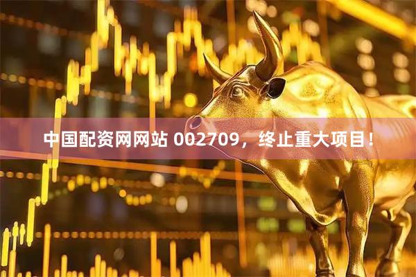 中国配资网网站 002709,终止重大项目!